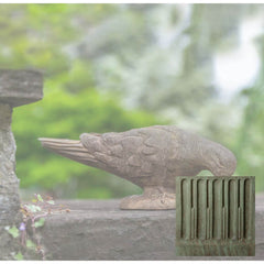 Campania French Dove