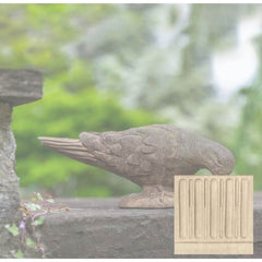 Campania French Dove