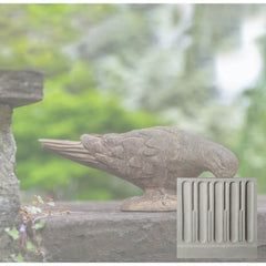 Campania French Dove