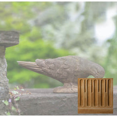 Campania French Dove