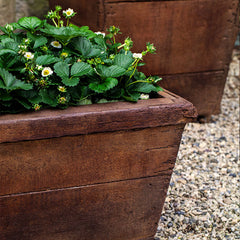 Campania Vendange Planters