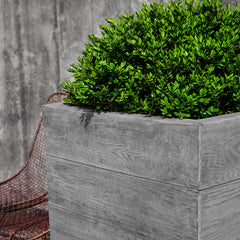 Campania Chenes Brut Planters