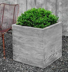 Campania Chenes Brut Planters