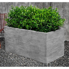Campania Chenes Brut Planters