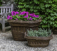 Campania Olive Harvest Basket