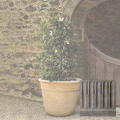 Campania Carema Planter Series