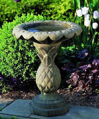 Photo of Campania Pineapple Birdbath - Marquis Gardens