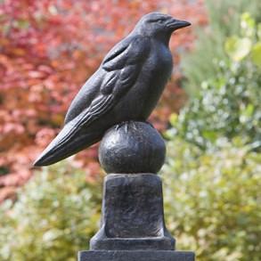 Photo of Campania Raven - Marquis Gardens