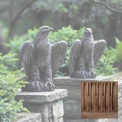 Campania Eagle Looking Left and Right