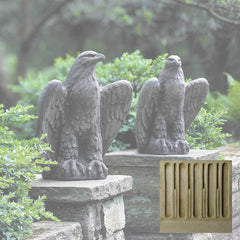 Campania Eagle Looking Left and Right