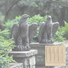 Campania Eagle Looking Left and Right