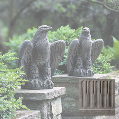 Campania Eagle