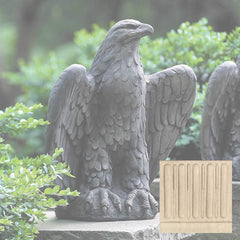 Campania Eagle Looking Left and Right