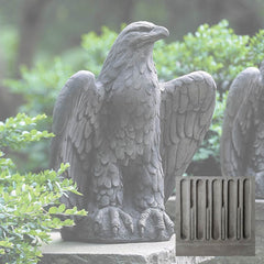 Campania Eagle Looking Left and Right
