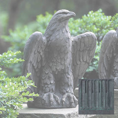 Campania Eagle Looking Left and Right