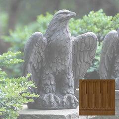 Campania Eagle Looking Left and Right