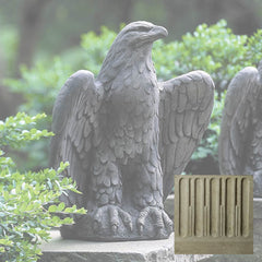 Campania Eagle Looking Left and Right