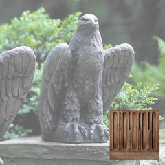 Campania Eagle Looking Left and Right