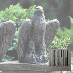 Campania Eagle Looking Left and Right