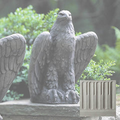 Campania Eagle Looking Left and Right