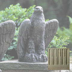 Campania Eagle Looking Left and Right