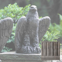 Campania Eagle Looking Left and Right