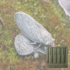 Campania Cicada