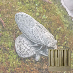 Campania Cicada