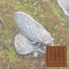 Campania Cicada