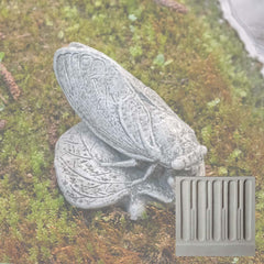 Campania Cicada