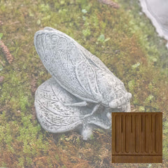 Campania Cicada