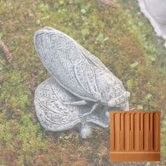 Campania Cicada