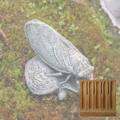Campania Cicada