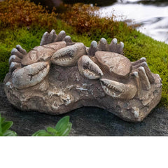 Campania Sea Crabs Fossil