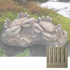Campania Sea Crabs Fossil