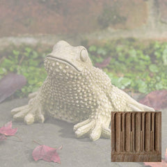 Campania Tommy Toad