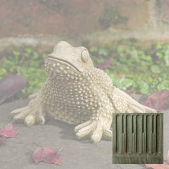 Campania Tommy Toad