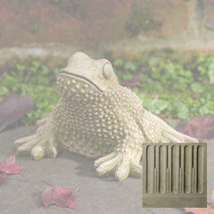 Campania Tommy Toad