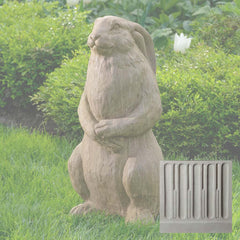 Campania Harvey