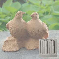 Campania Dos Palomas