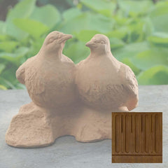 Campania Dos Palomas