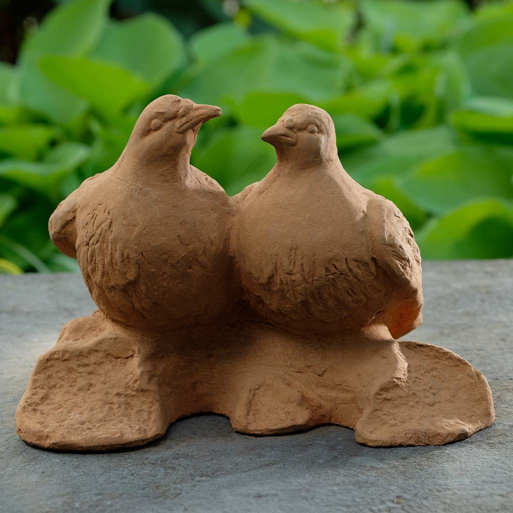 Campania Dos Palomas