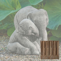Campania Elephant Mother and Child