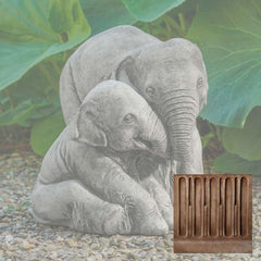 Campania Elephant Mother and Child