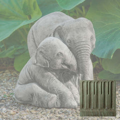 Campania Elephant Mother and Child