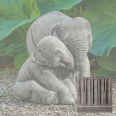 Campania Elephant Mother and Child