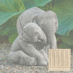 Campania Elephant Mother and Child