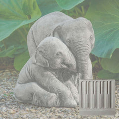 Campania Elephant Mother and Child