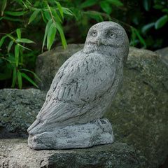 Campania Polar Owl