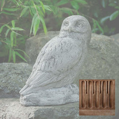 Campania Polar Owl